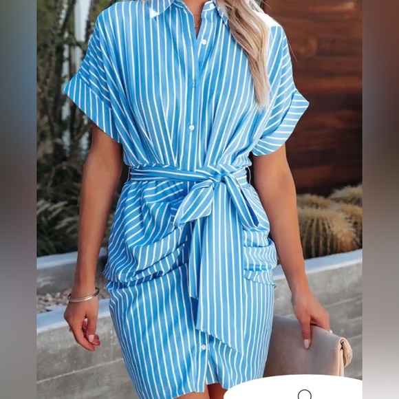 *NWT* Blue/White Striped Button-Down Dress - Picture 3 of 4